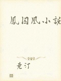 凤囚凰小说