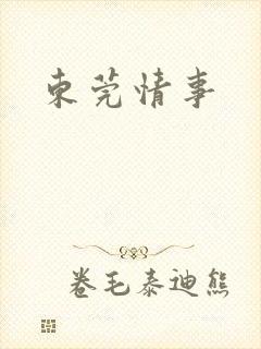 东莞情事