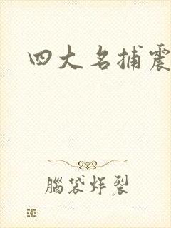 四大名捕震关东