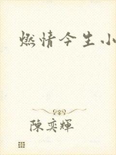 燃情今生小说封面