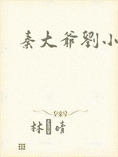 秦大爷刘小静封面