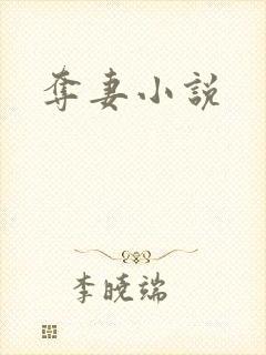 夺妻小说封面