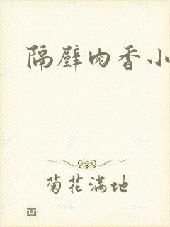 隔壁肉香小说