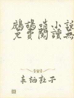 鹧鸪哨小说网站免费阅读无弹窗