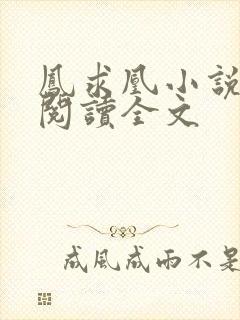 凤求凰小说免费阅读全文