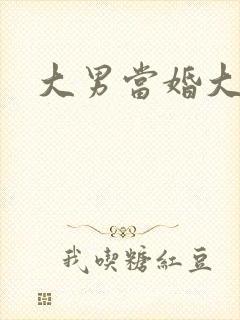 大男当婚大结局