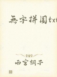 无字拼图txt封面