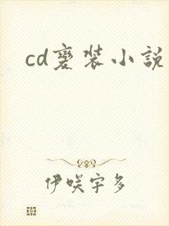 cd变装小说