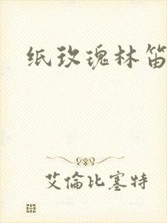 纸玫瑰林笛儿
