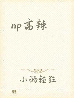 np高辣