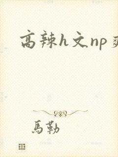 高辣h文np爽
