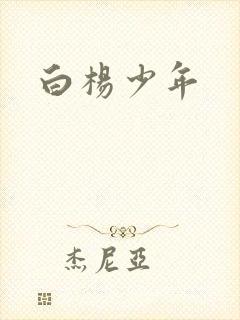 白杨少年