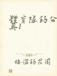 体育队的公用玩具1封面