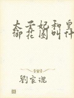 太子妃和皇帝在御花园叫什么小说