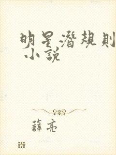 明星潜规则之皇 小说