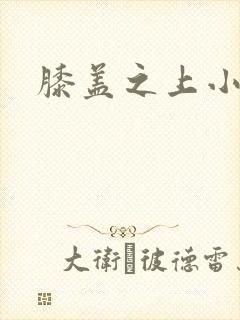 膝盖之上小说