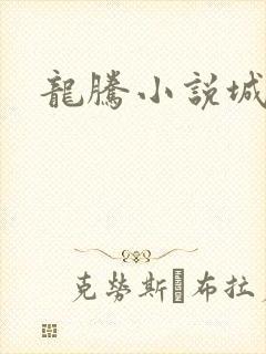 龙腾小说城