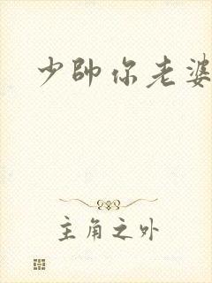 少帅你老婆封面