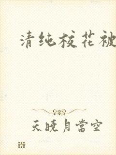 清纯校花被