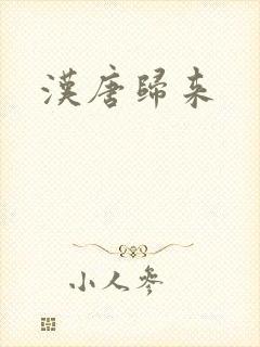 汉唐归来