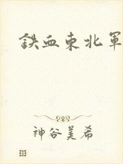 铁血东北军