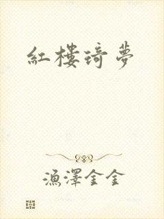 红楼琦梦封面
