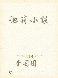 池莉小说封面