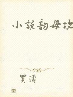 小说韵母攻略封面