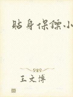 贴身保镖小说封面