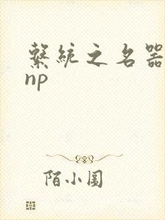 系统之名器攻略np
