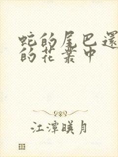 蛇的尾巴还在我的花丛中