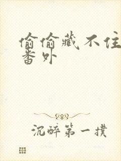 偷偷藏不住新婚番外