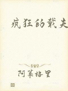 疯狂的戴夫封面