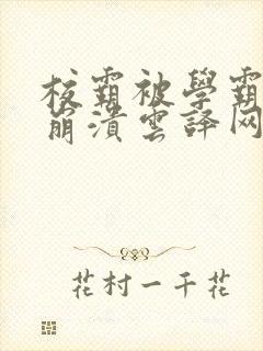 校霸被学霸玩到崩溃云译网