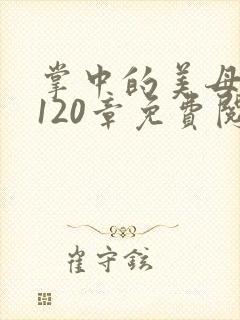 掌中的美母版主120章免费阅读
