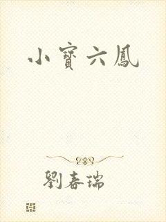 小宝六凤封面
