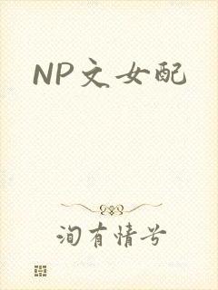 NP文女配