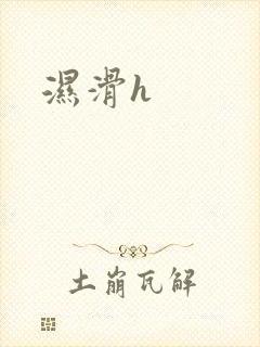 湿滑h