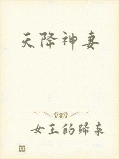 天降神妻封面