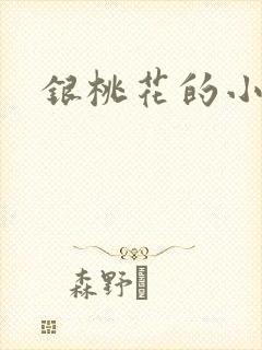 银桃花的小说