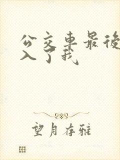 公交车最后一排入了我