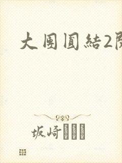 大团圆结2阅读