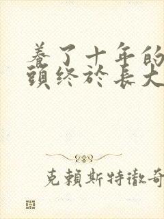 养了十年的小丫头终于长大了