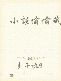 小说偷偷藏不住