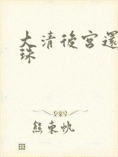 大清后宫还君明珠封面