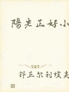 阳光正好小说