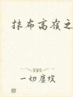 抹布高岭之花封面