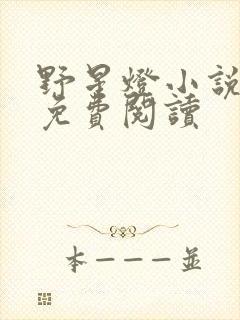 野星灯小说全文免费阅读