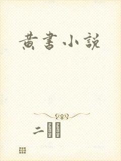 黄书小说