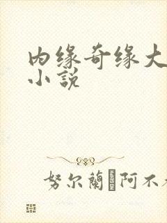 内缘奇缘大团圆小说